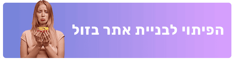 בניית אתר בזול לעסק מה הפיתוי
